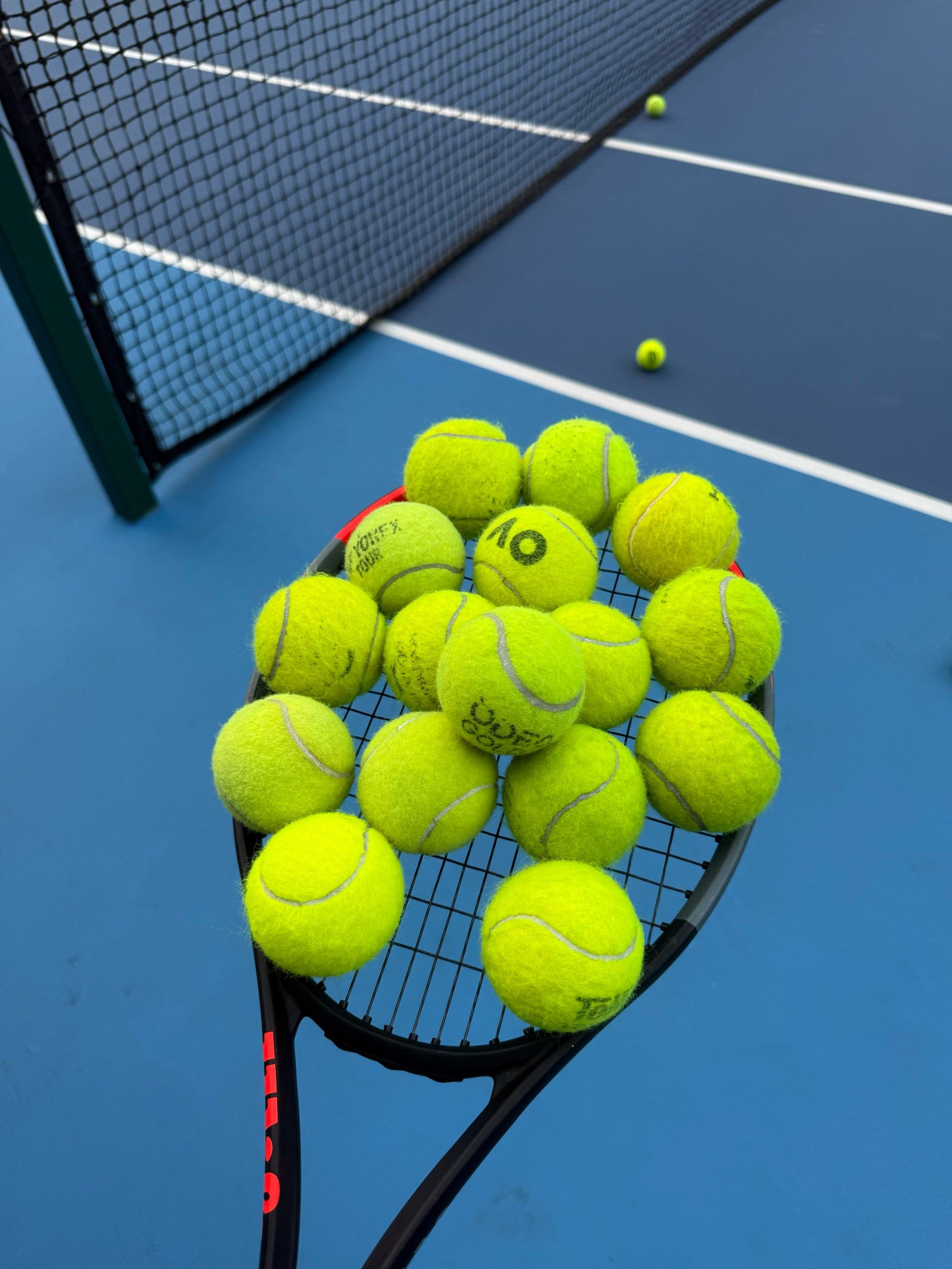 他的强壮身 他的强壮身