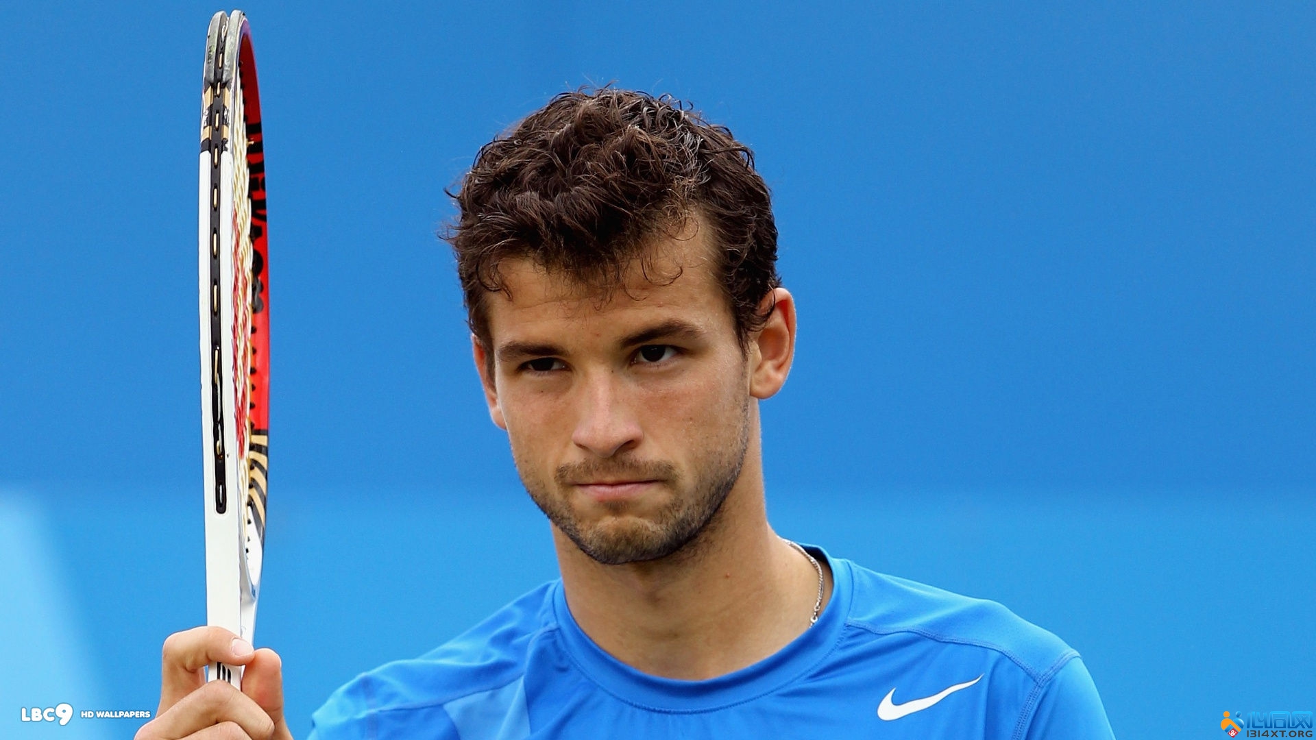 卫体系在欧 卫体系在欧